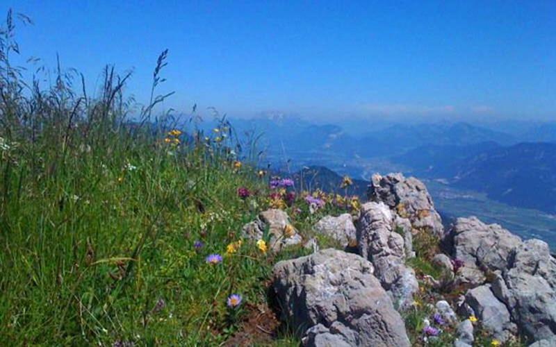 Gasthof Pension Alpenblick Radfeld Exterior foto